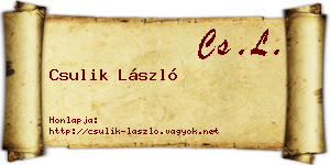 Csulik László névjegykártya
